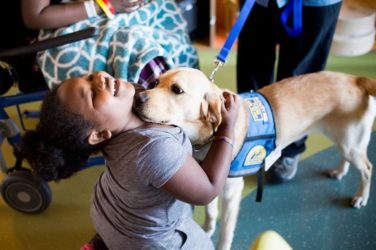 Terapia asistida con perros: qué es y cómo puede ayudarte