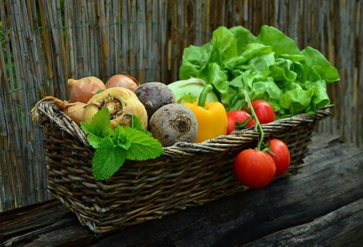 Beneficios De Consumir Frutas Y Verduras Ecológicas Para La Salud Salud10top 5247
